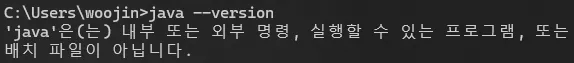 OpenJDK가 정상적으로 설치되지 않은 경우