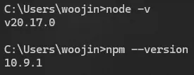 정상 설치 확인
